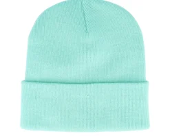 Alien Space Pizza Patch Mint Cuff Beanie - Iconic