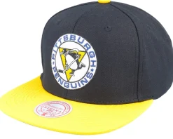 Anaheim Ducks Team 2 Tone 2.0 Black/Orange Snapback - Mitchell & Ness