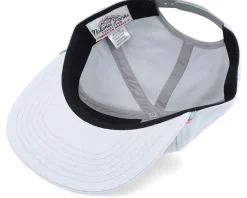 Arches Coachella Grey Snapback - American Needle