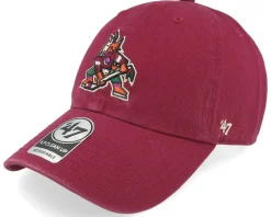 Arizona Coyotes Arizona Coyotes Clean Up Cardinal Dad Cap - 47 Brand