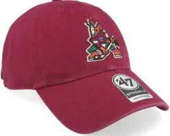 Arizona Coyotes Arizona Coyotes Clean Up Cardinal Dad Cap - 47 Brand