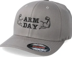 Arm Day Grey Flexfit - Berzerk