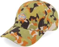Artonodale Cap Artondale Camo Dad Cap - Dickies