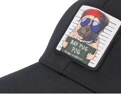 Bad Pug Dog Black Flexfit - Iconic
