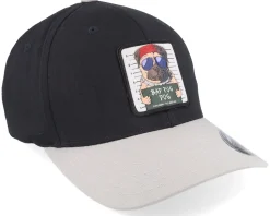 Bad Pug Dog Black/Silver Wooly Combed Flexfit - Iconic