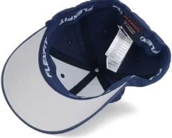 Bird & Mountains Patch Navy Flexfit - Wild Spirit