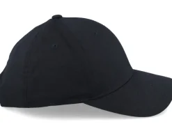 Black 110 Adjustable - Flexfit