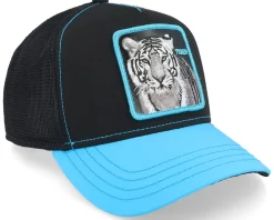 Blue Streak Black Trucker - Goorin Bros.