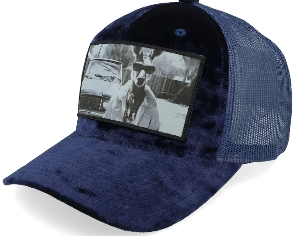 Boss Kangaroo Velvet Navy A-frame Trucker - Calza Pennello