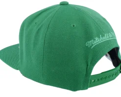 Boston Celtics Monochromatic Green Snapback - Mitchell & Ness