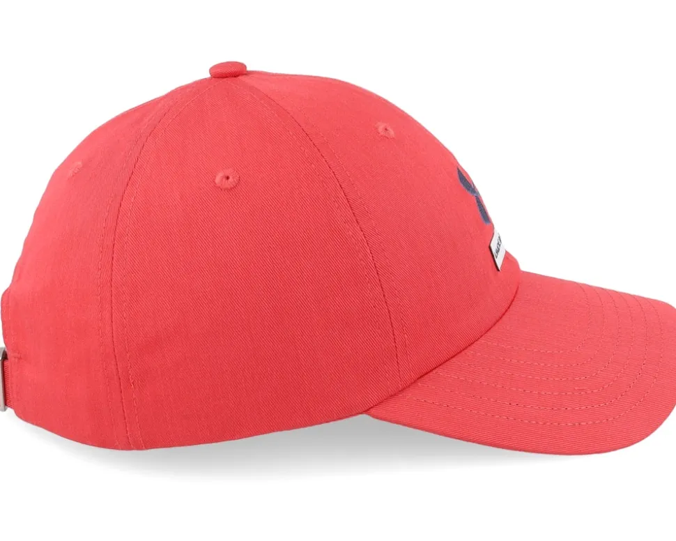 Branded Hat Chakra Dad Cap - Under Armour