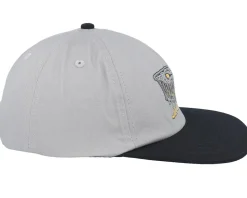 Braun Fever Dream Stone Grey/Black Snapback - Santa Cruz