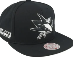 Brooklyn Nets Evergreen Black/White Snapback - Mitchell & Ness