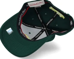 Brooklyn Nets Green Dream Dark Green Adjustable - Mitchell & Ness