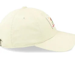 California Ballpark Patch Stone Dad Cap - American Needle