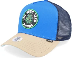 Cap Hft Food Seed Royal/Khaki A-Frame Trucker - Djinns