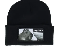 Capybara Sofa Beanie Black Cuff - Iconic
