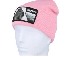 Capybara Sofa Beanie Classic Pink Cuff - Iconic