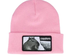 Capybara Sofa Beanie French Navy Cuff - Iconic