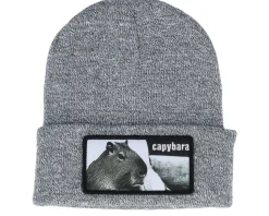 Capybara Sofa Beanie Heather Grey Cuff - Iconic