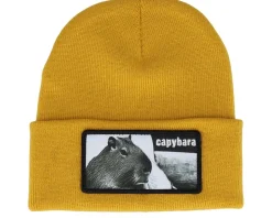 Capybara Sofa Beanie Heather Grey Cuff - Iconic