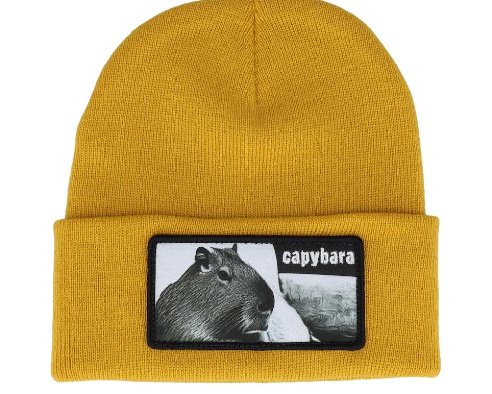 Capybara Sofa Beanie Heather Grey Cuff - Iconic