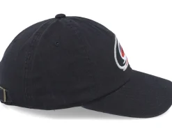 Carolina Hurricanes Blue Line Black Dad Cap - American Needle