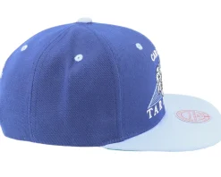 Carolina Tar Heels Carolina Monument Blue Snapback - Mitchell & Ness