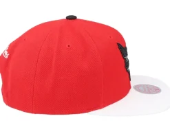 Charlotte Hornets Cardinal Red 2 Tone Scarlet/white Snapback - Mitchell & Ness