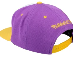Charlotte Hornets Brotherhood Nba White/purple Snapback - Mitchell & Ness