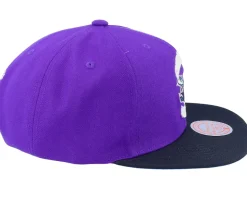 Charlotte Hornets Core Basic Purple/Black Snapback - Mitchell & Ness