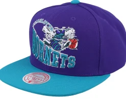 Charlotte Hornets Crooked Path Purple Snapback - Mitchell & Ness