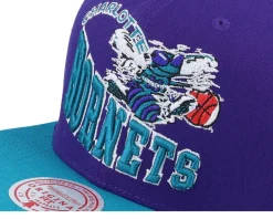 Charlotte Hornets Crooked Path Purple Snapback - Mitchell & Ness