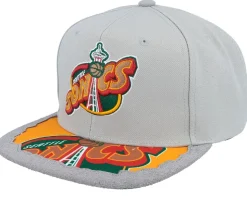 Charlotte Hornets Munch Time Hwc Grey Snapback - Mitchell & Ness