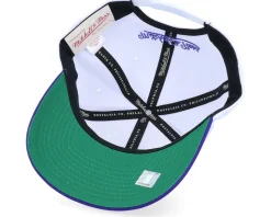 Charlotte Hornets Team 2 Tone 2.0 Pro White/Purple Adjustable - Mitchell & Ness