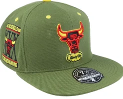 Chicago Bulls Dusty Olive Fitted - Mitchell & Ness