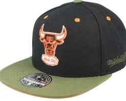 Chicago Bulls Take Flight Black/Green Fitted - Mitchell & Ness