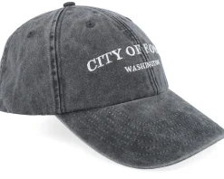 City Of Forks Washington Washed Black Dad Cap - Iconic