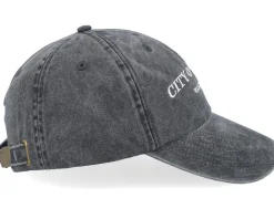 City Of Forks Washington Washed Black Dad Cap - Iconic