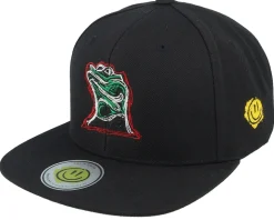 Colorful Lizard Black/Black Snapback - Lucid Smile