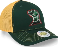 Colorful Lizard Dark Green/Gold Trucker - Lucid Smile