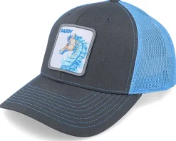 Daddy Seahorse 112 Split Charcoal/ Columbia Blue - Iconic