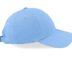 Daisy Flowers Embroidery Columbia Blue Dad Cap - Iconic