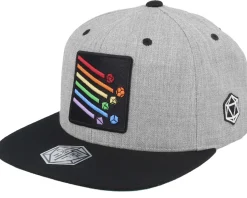 Dice Storm Patch Heather Grey/Black Snapback
