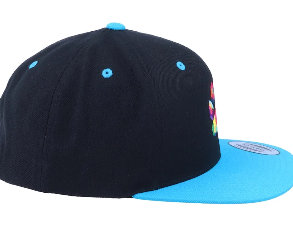 Dog Paw Colors Black/Teal Snapback - Iconic