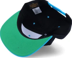 Dog Paw Colors Black/Teal Snapback - Iconic