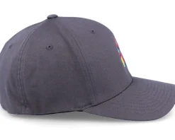 Dog Paw Colors Dark Grey Flexfit - Iconic