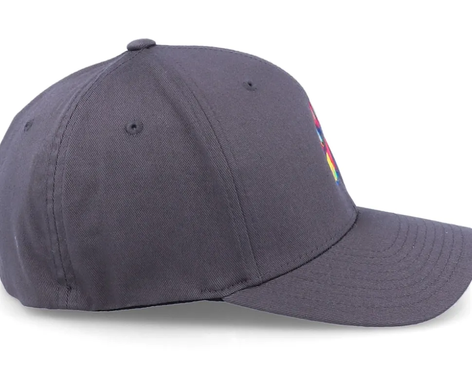 Dog Paw Colors Dark Grey Flexfit - Iconic