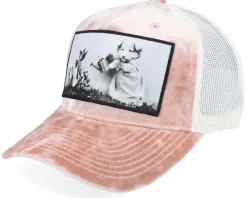 Dog Watering Plant Velvet Peach/Ivory A-frame - Calza Pennello