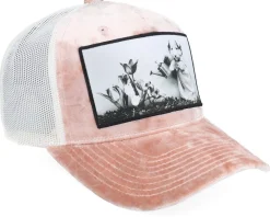 Dog Watering Plant Velvet Peach/Ivory A-frame - Calza Pennello